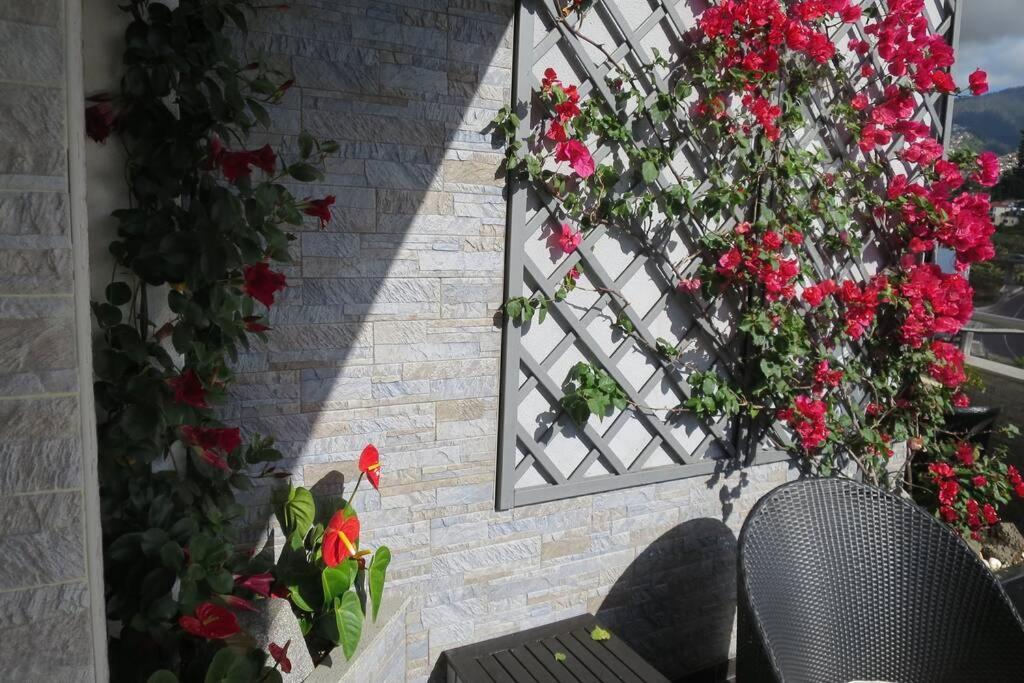 Varandas Da Fe Apartment ฟุงชาล ภายนอก รูปภาพ